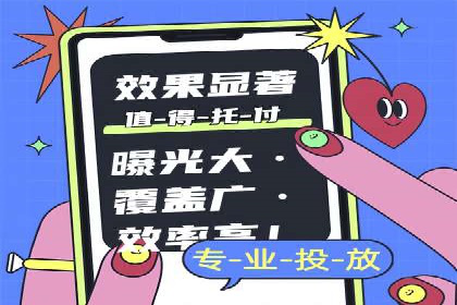 SEO与SEM融合策略：成功案例解析